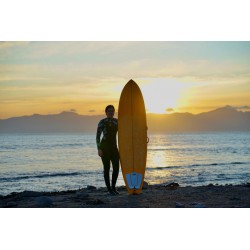 ILF Takedown Long bow 68"